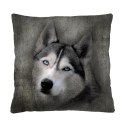 Poduszka - HUSKY 40x40 cm Poduszka - HUSKY 40x40 cm