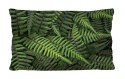 Poduszka - FERNS - 30x50 cm Poduszka - FERNS - 30x50 cm
