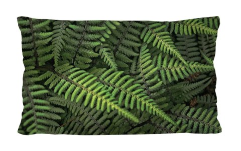 Poduszka - FERNS - 30x50 cm Poduszka - FERNS - 30x50 cm