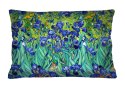 Poduszka - Irys 40x60 cm Poduszka - Irys 40x60 cm