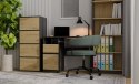 NOWOCZESNA KOMODA ALMA SZAFKA Z 4 DRZWIAMI DĄB ARTISAN / ANTRACYT NOWOCZESNA KOMODA ALMA SZAFKA Z 4 DRZWIAMI DĄB ARTISAN / ANTRACYT