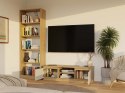NOWOCZESNA SZAFKA RTV MALWA 120CM KASZMIR / DĄB ARTISAN