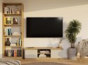 NOWOCZESNA SZAFKA RTV MALWA 120CM KASZMIR / DĄB ARTISAN