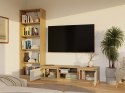 NOWOCZESNA SZAFKA RTV MALWA 140 CM KASZMIR / DĄB ARTISAN